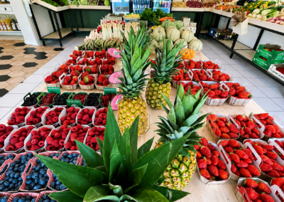 primeur saint come come au marche epicerie fine saint come fruits et legumes bazas fromagerie saint come